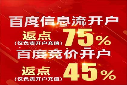 深度解析：百度竞价账户托管的成功秘诀